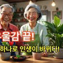 백세 시대, 나를 괴롭히는 우울감과 외로움 극복하는 특별한 방법 3가지 이미지