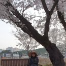 박천경공인중개사사무소 이미지
