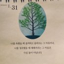 주)손질