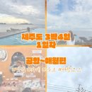 🧡 제주도 1일차 여행코스 | 공항→애월 동선 · 맛집 · 카페 · 숙소 총정리🧡
