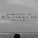 대신프라자 네이버블로그