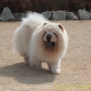 아리하우스 이미지