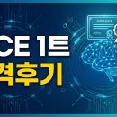 달마PC | AICE Basic 합격 후기: 독학 비용, 일정, 꿀팁 총정리 (입문 패키지면 충분함!)