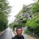 돌담당구장 Daum카페