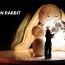 이평15 마을진입로 | 강릉 아르떼뮤지엄 아기랑 방문 후기 - 유아 동반 관람 동선 및 편의시설