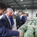 백운농협 농산물산지유통센터 이미지