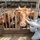 간양농장 이미지