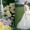 에이메드 이미지