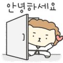 대호체육도장 이미지