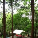 금동산야 이미지