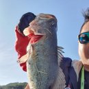 3GO고기마트 | 보령배스낚시 다녀왔습니다.