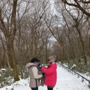 존자암지 | 함께 한 제주 여행 2일째(2024. 12. 15, 일,오전), 한라산 등산 영실코스를 포기하고 「존자암지」에 가다.