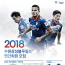 수원-2018 이미지