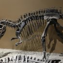 케라토사우루스 | 케라토사우루스(Ceratosaurus) – 뿔을 지닌 고독한 포식자