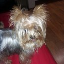 서울구남초등학교 이미지