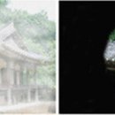 녹내장과 백내장. 이미지