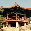 용마산 대삼각본점 이미지