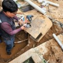 향림목장 이미지