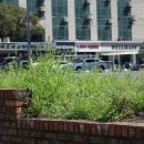 옵티마세원약국 이미지