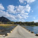 학산면사무소 | 금산 월영산 출렁다리(주차장~월영산 출렁다리~원골 인공폭포~세월교)