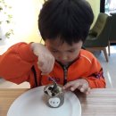 썸머힐어린이집 이미지