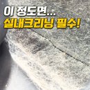 대안크리닝 | [일산 실내크리닝] 개털·냄새까지 잡는 탈거 기반 정밀 세차, 치카치카 시공 후기