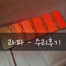 퇴행성 관절염 레이저 치료기 하이리빙 라파 수리
