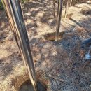 판문동3 이미지