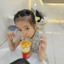 세부 2일차 아이랑 단둘이 (뉴타운,막탄 알프레스코)