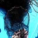 그물과물고기 이미지