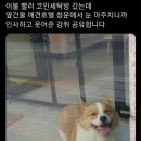 울동네세탁 이미지