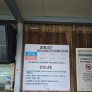 천원목장 | 강원도 겨울여행 추천 사진팁 대관령하늘목장 대관령 평창여행