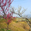 봄이 오는 길목인 삼성산에서 5명의 산행 이야기(3/3). 이미지