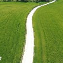 윤용하 농장 이미지