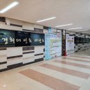 경희대선호태권도 이미지