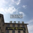 도그스101 | 판교 애견카페 도그스101 :: 분당 판교 애견카페 애견운동장 힐링하기