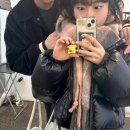 이십이(22) 이미지