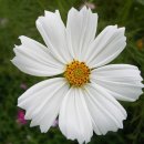 좋은세상의원 이미지