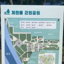 롯데리아제천 | 세종시 종촌동 물놀이형 바닥분수 후기 (세종 제천뜰근린공원)