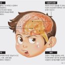 민락초등학교 이미지