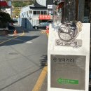 신라누비 티스토리