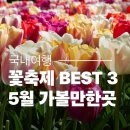 SP-5A13 | 2026 5월 가볼만한곳 BEST 3, 삼척·고양·함평 꽃축제 총정리