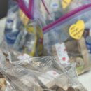 사파동247 이미지