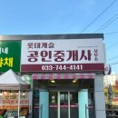 대신롯데캐슬부동산중개사무소 | [원주시 반곡동 부동산] 세이프홈즈 공식 파트너 &#39;롯데캐슬중개사사무소&#39;