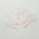 수채화 일러스트 이미지