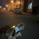 펫콤동물병원 이미지