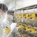 의료AI 📁 루닛, 쓰리빌리언, 고영, 토모큐브, 뷰노, 보로노이, 온코크로스, 큐렉소 이미지