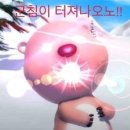 왕가네탕후루 - 화성시 동탄반석로 196 | 왕가네탕후루