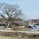 금지면 방촌마을 뉴스메이커