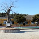 근흥중학교 이미지